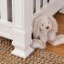 Tillen 4 - In - 1 Convertible Crib - Warm White