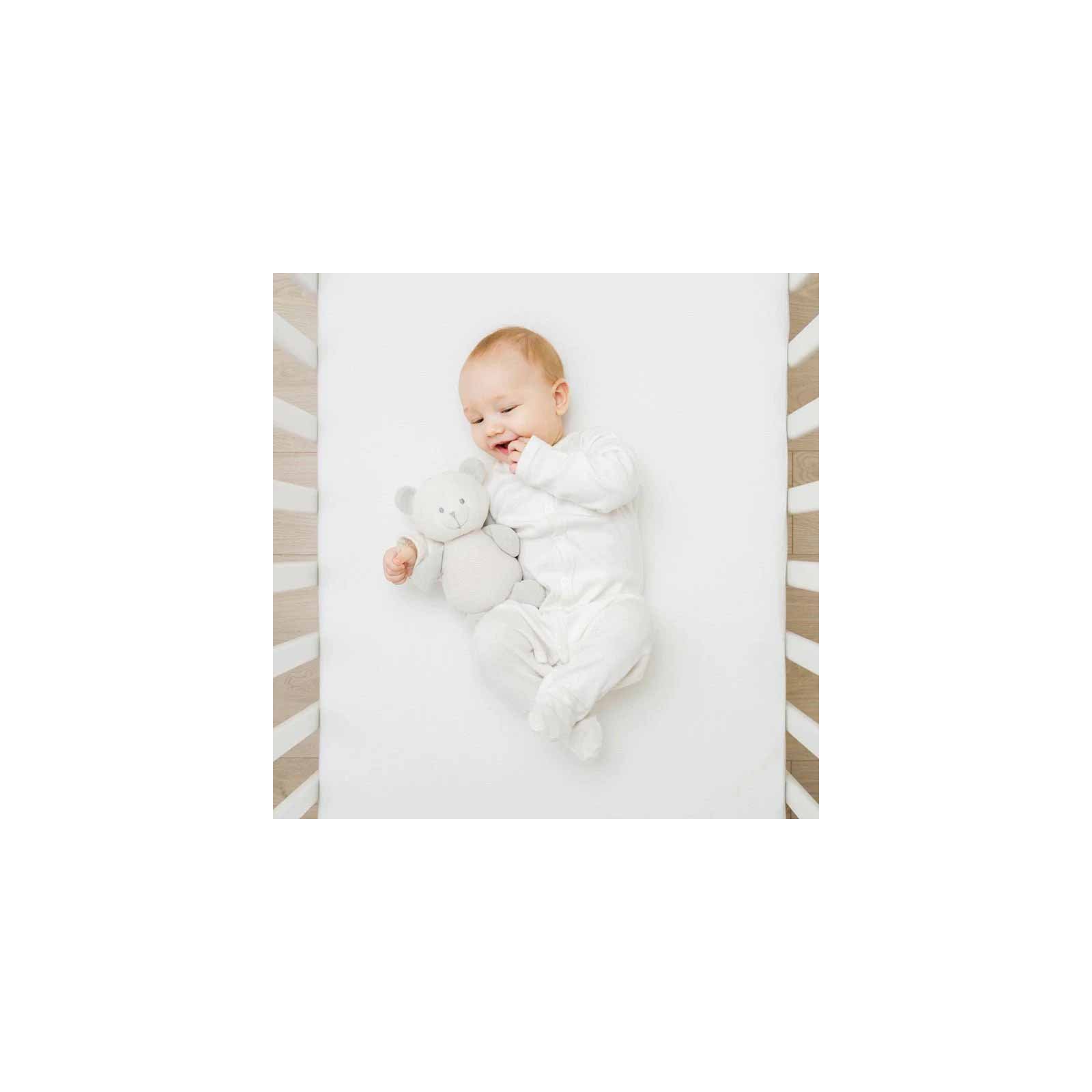 Health Assure Pure Lifetime Warranty Crib Mattress